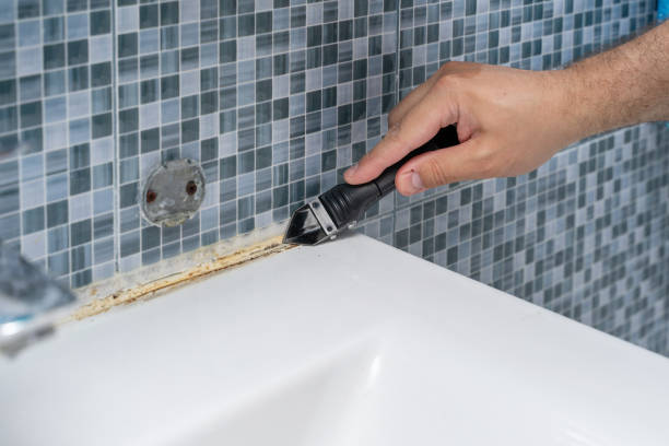 Iron River, MI Mold Removal Company
